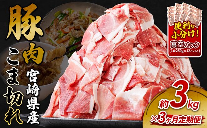 定期便 3回お届け 宮崎県産 いもこ豚 小間切れ 3kg (250g×12パック) 真空パック 小分け 豚肉 えびの市