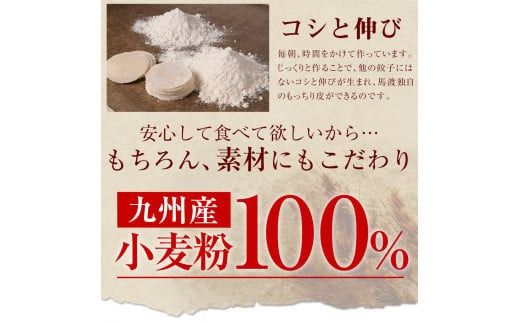 【宮崎空港で大人気！】＜馬渡のもっちり 餃子 25個＞ 翌月末迄に順次出荷 ぎょうざ ギョウザ ギョーザ 惣菜 おかず 冷凍 宮崎県 高鍋町【c1542_mw】