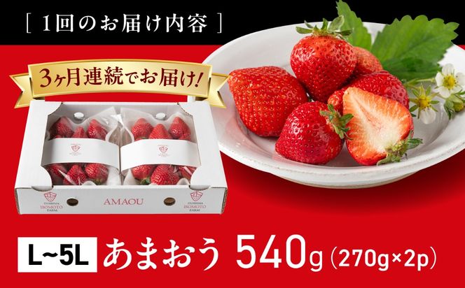 【全3回定期便】【農園直送】糸島のあまおう 270g×2パック (サイズおまかせL〜5L) 果物 フルーツ いちご / 糸島市 / 磯本農園 / TANNAL[ATB009]