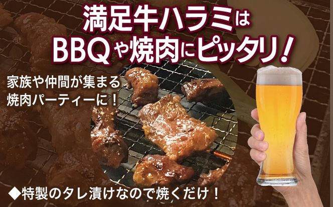 G3369 【タレ漬け牛肉2種セット】 満足牛ハラミ・牛肉切り落とし 合計1.5kg【味付け ハラミ 小分け 焼くだけ 簡単調理 BBQ 牛肉 250g×各3P】