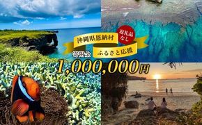 【返礼品なし】沖縄県恩納村ふるさと応援寄附金 1000000円