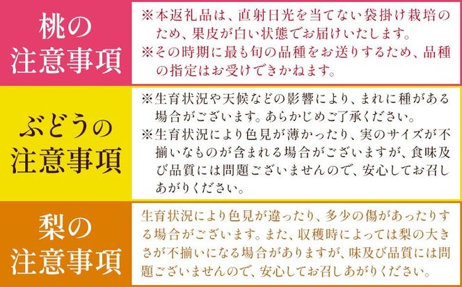 フルーツ 定期便 全5回 岡山県の 贅沢 フルーツ定期便 白桃 黄桃 ニューピオーネ シャインマスカット 梨《7月-12月末頃出荷》岡山県 矢掛町 送料無料 果物 フルーツ 旬 もも ぶどう なし お取り寄せフルーツ---ofn_czfrutei_26_50000_jul5---
