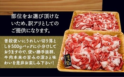 訳あり 博多和牛 切り落とし 500g×10p 計5kg [MEAT PLUS 福岡県 宇美町 um40azp010023] 牛肉 切落し 肉 肩肉 バラ肉 和牛