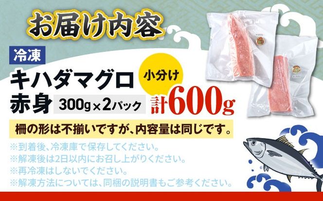 冷凍キハダマグロ 600g (300g×2パック)  マグロ まぐろ 小分け 冷凍 刺身 赤身 沖縄市 / 沖縄市漁業協同組合 パヤオ直売店[BCDZ001]