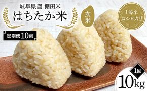 【10回定期便】岐阜県産 棚田米 1等米コシヒカリ はちたか米 玄米10kg（5kg×2袋） F4N-2637