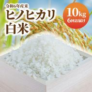 【6ヶ月定期便】白米 10kg N0138-YF058