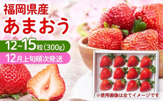 【2025年12月上旬より順次発送】 福岡産 あまおう ギフト箱（12-15粒）《築上町》【南国フルーツ株式会社】 果物 苺 いちご[ABET003]