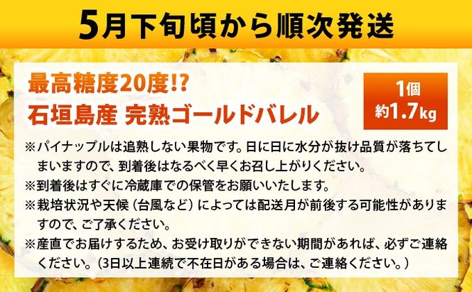 【先行予約2026年5月下旬ころから順次発送】最高糖度20度！？石垣島産完熟ゴールドバレル 1玉 約1.7kg