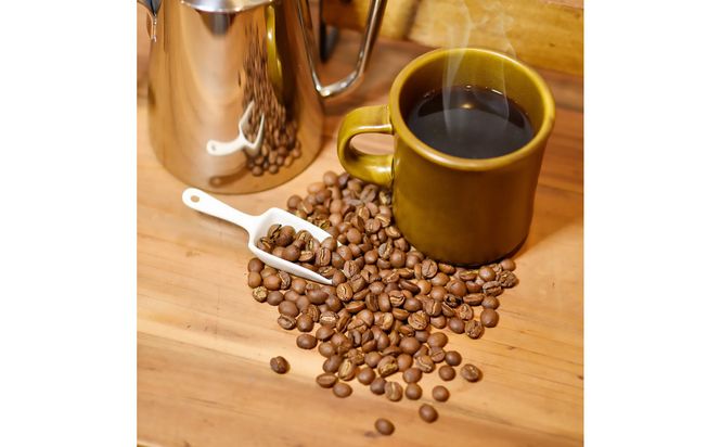 ヴィディヤ ドリップコーヒー 10ｇ×50袋×３種 ＝ 150杯 1.5kg 272230_CV001