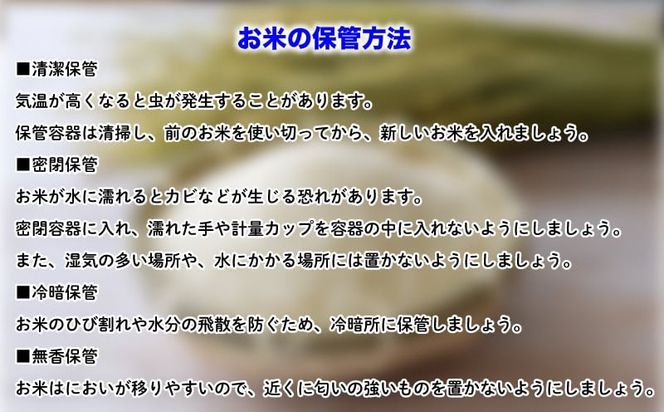 知多米 選べる こしひかり あいちのかおり 5kg 米 コシヒカリ 愛知 知多 特産品 南知多