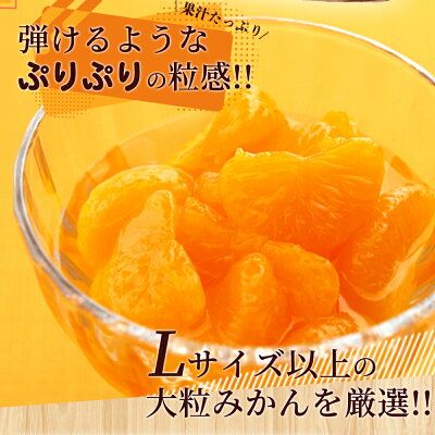 AY6004n_田村みかん 缶詰 8缶セット【フルーツ缶 フルーツ缶詰 みかん 有田みかん 和歌山産】