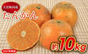 【2027年発送】大宜味村 たんかん 約10kg 沖縄 おきなわ 大宜味村 果物 くだもの 果実 タンカン オレンジ みかん 柑橘 フルーツ お取り寄せ 人気 ふるさと納税 送料無料 国産 県産 ご当地 やんばる 先行予約