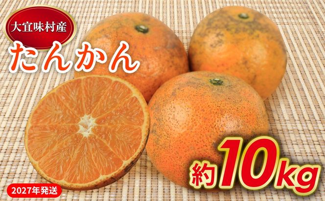 【2027年発送】大宜味村 たんかん 約10kg 沖縄 おきなわ 大宜味村 果物 くだもの 果実 タンカン オレンジ みかん 柑橘 フルーツ お取り寄せ 人気 ふるさと納税 送料無料 国産 県産 ご当地 やんばる 先行予約
