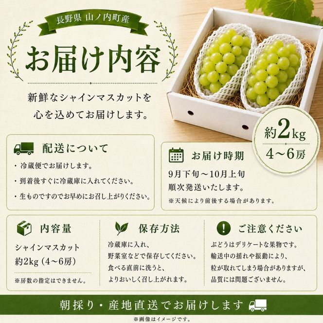 【2026年9月～発送】シャインマスカット約2kg 4～6房 長野県産
