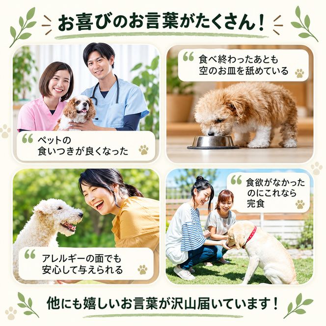 ペットフード KomoroPremium 鹿肉 ウエットフード 100g×30袋 犬 猫 ペット フード