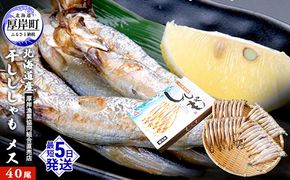 北海道産 干ししゃも メス40尾  北海道 干物 ひもの 魚 ししゃも シシャモ 魚貝類 