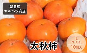 柿 太秋柿 Lサイズ×10個入 マルハツ商店 配送不可：離島 果物類 かき 