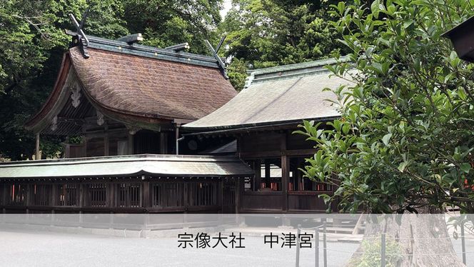 世界遺産と絶景を歩く！宗像・大島オルレ トレッキングガイドツアー(弁当・フェリー付き)1名～4名同額プラン【宗像観光協会】_HA1870 宗像大社 世界遺産 大島 オルレ トレッキング 日帰り 旅 福岡県宗像市 宗像市 福岡 宗像