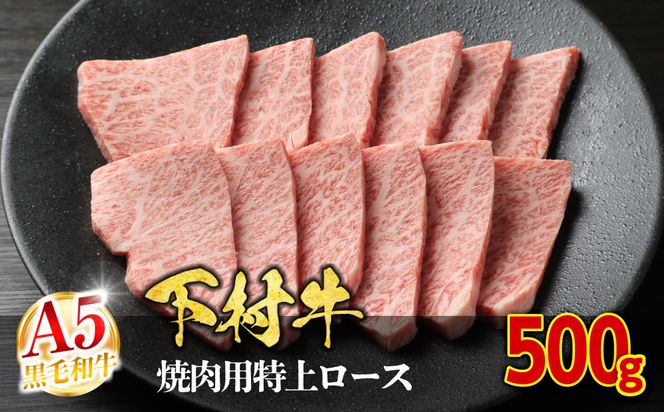 【定番】大府特産A5黒毛和牛下村牛焼肉用特上ロース　500g 232238_N053