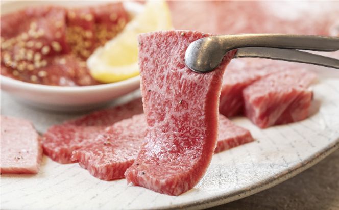 極上但馬牛 焼肉用 500g / 牛肉 焼肉 焼き肉 やきにく 黒毛和牛 赤身 霜降り 焼き肉用 黒毛和牛 国産牛 肉 国産 特産品 お祝い ギフト【但馬ビーフはまだ】