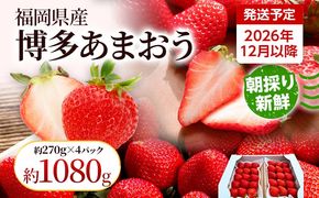 【先行受付】農家直送 朝採り新鮮いちご【博多あまおう】＜12月より順次発送＞ 約270g×4パック 福岡県産 苺 イチゴ 朝採れ 冷蔵 スイーツ ジュース ギフト プレゼント お土産 九州 福岡土産 ※北海道・沖縄・離島は配送不可
