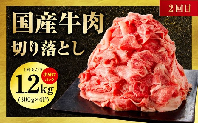 mrzZ017 国産 牛肉 豚肉 鶏肉 定期便 3回 総量 4.2kg 【氷温熟成×極味付け 3種 食べ比べ 普段使い 味付き 小分け 訳あり サイズ不揃い 毎月配送コース】