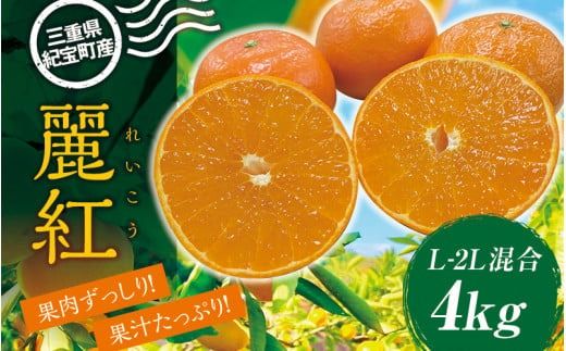 L-2L サイズ混合 萩野農園の麗紅(れいこう) 4kg 【2025年1月末から2月末までに順次発送致します。】 / くだもの フルーツ 果物 みかん ミカン 蜜柑 れいこう 麗紅【mhn002A】