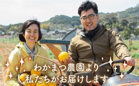 【全6回定期便】農香 ばぁむ クリーム 【2025年10月下旬以降初回発送】糸島市 / わかまつ農園 [AHB027]