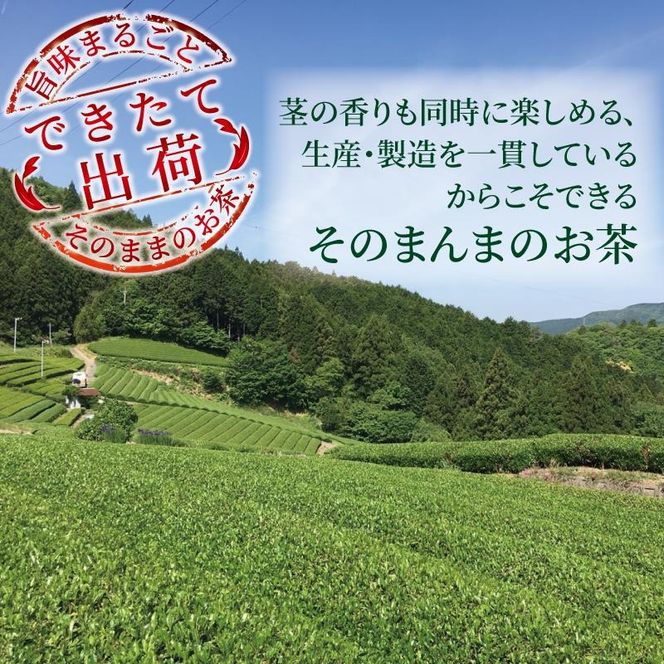 緑茶 そのまんま茶 80g × 5袋 お茶 深蒸し茶 茎茶 粉茶 茶 茶葉 日本茶 飲料 静岡県 藤枝市 ［PT0153-000001］