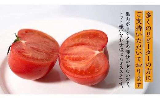 フルーツトマト 大箱 約2.6kg × 3箱 【大玉 20～35玉/1箱】 2026年産 糖度7度 以上 野菜 フルーツ トマト とまと [AF074ci]