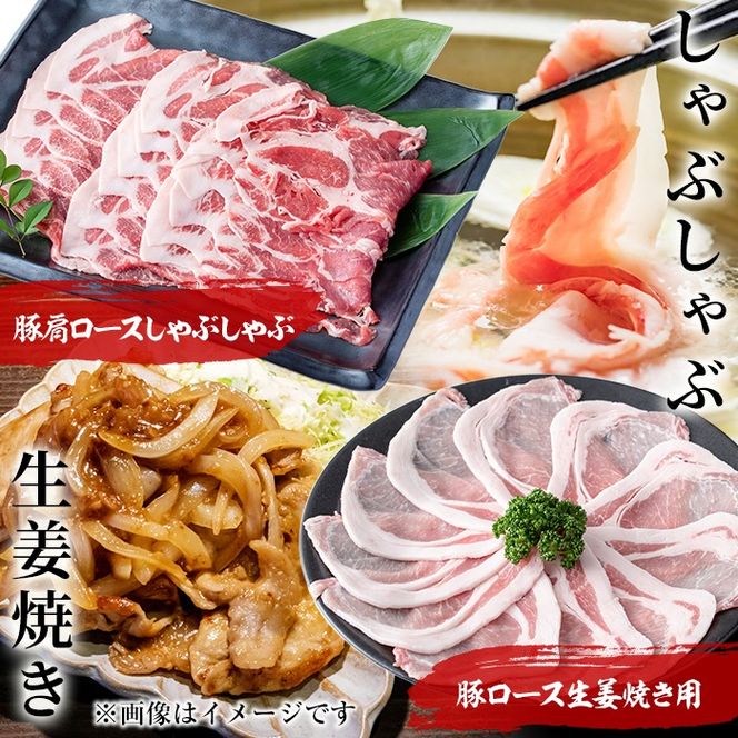 【定期便 全4回】九州産豚肉 生活応援定期便(計9.3kg) t0050-020