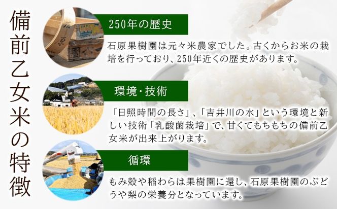 米 こめ コメ 備前乙女米 白米 30kg 石原果樹園 《90日以内に出荷予定》岡山県 浅口市 ご飯 お米 国産 岡山県産 送料無料---124_1048_90d_24_56000_30haku---