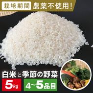 【身体が喜ぶ野菜】白米5kgと季節の野菜(おまかせ4〜5品)(茨城県共通返礼品／潮来市)｜米 お米 こめ 白米 野菜 野菜セット 栽培期間農薬不使用 無農薬 減農薬 茨城県共通返礼品 共通返礼品 茨城県 潮来市 行方市(BI-109)