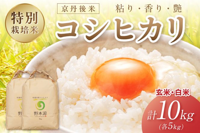 2026年産 京丹後米 特別栽培米コシヒカリ 玄米・白米 各5kg 白米 玄米 ふるさと納税 米 精米 お米 ご飯 ごはん コシヒカリ 京丹後産　NO00036