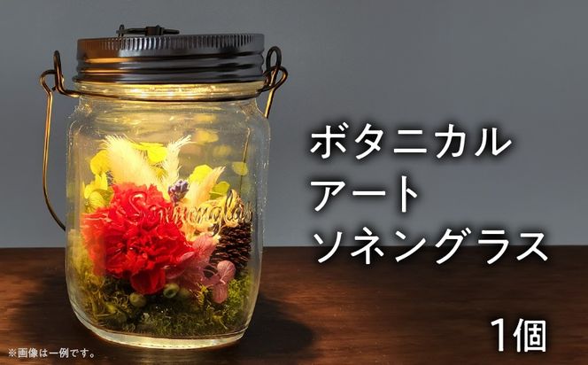ボタニカルアート ソネングラス