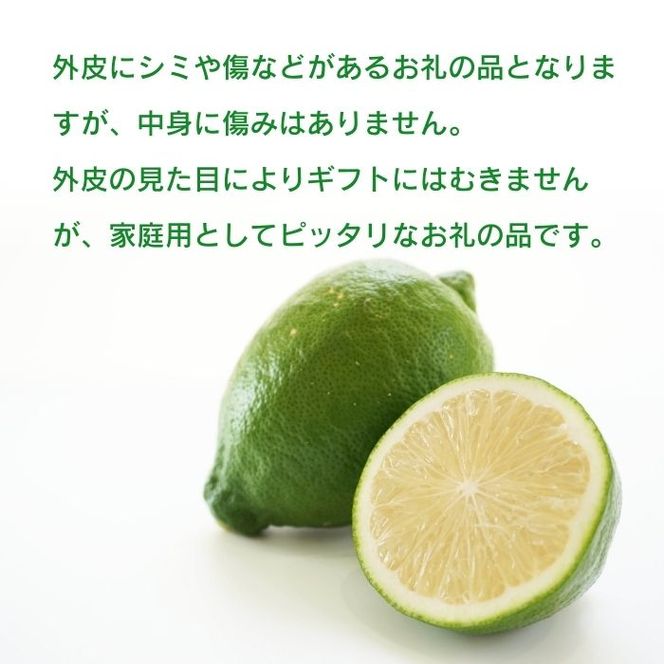 訳あり レモン （ グリーンレモン ） 1kg りのか 【発送期間:8月中旬～】 レモン 減農薬 柑橘 檸檬 くだもの 果実 国産 愛媛 みかん職人武田屋 ブランド 愛媛県産 産直 無添加