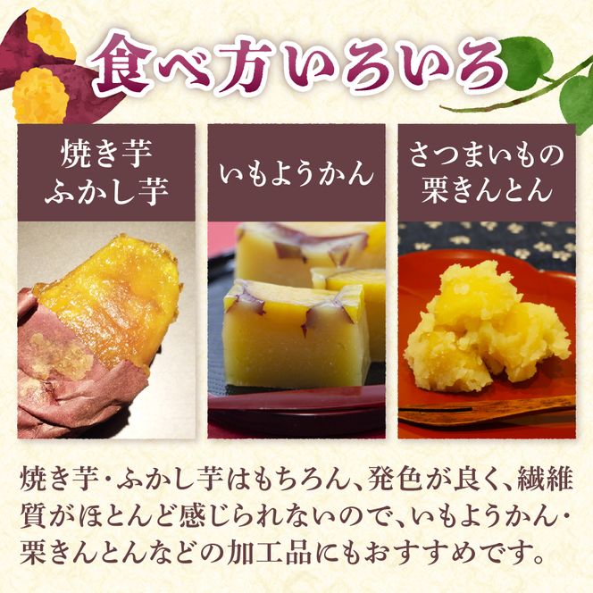 サツマイモ（シルクスイート）2kg　さつまいも 富士シルク 野菜 根菜 焼き芋 ふかし芋 国産 富士吉田市産 山梨 富士吉田