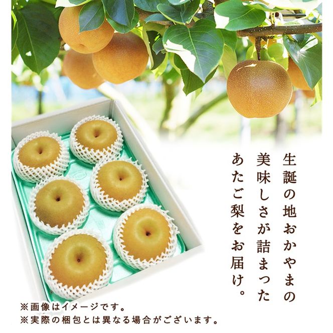 梨 2027年 先行予約 あたご梨 5～8玉 約3.8kg 化粧箱 岡山県 赤磐市産 果物 フルーツ