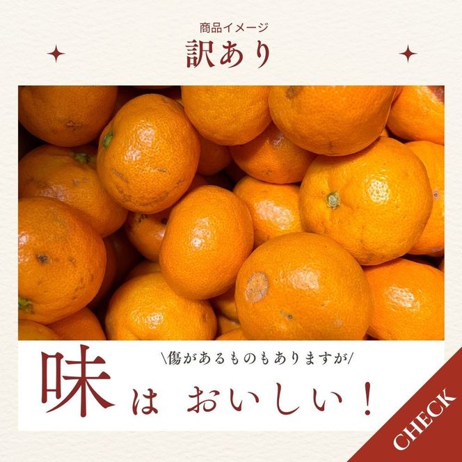 【ふるさと納税】【先行予約】有田みかん 早生 温州みかん 2.6kg（箱込み3kg） 訳あり S～Lサイズおまかせ　柑橘 フルーツ みかん 産地直送 お取り寄せ 送料無料 温州ミカン FA02 