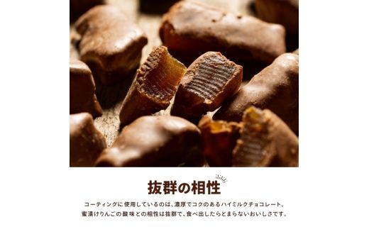 アップルチョコレートミルク900g【fktr0004】