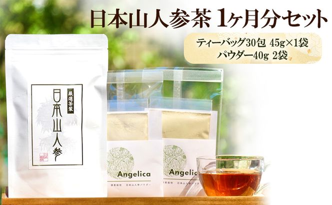 ★希少★日本山人参で健康に！1か月分セット！ 飲料類 お茶 野菜/人参 