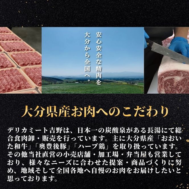 【豚肉／豚肉スピード発送】豚肉切り落とし 2kg（500g×4袋） | 豚肉 豚肉小分 豚肉切落 豚肉カレー 豚肉炒 豚肉炒飯 豚肉料理 ぶたにく ブタニク 小分け 使いやすい 豚 切り落し 豊後高田市