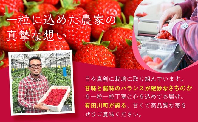 おいしさにこだわった いちご 苺 さちのか 300g × 4パック 合計 1.2kg 2L サイズ 江川農園 BM02