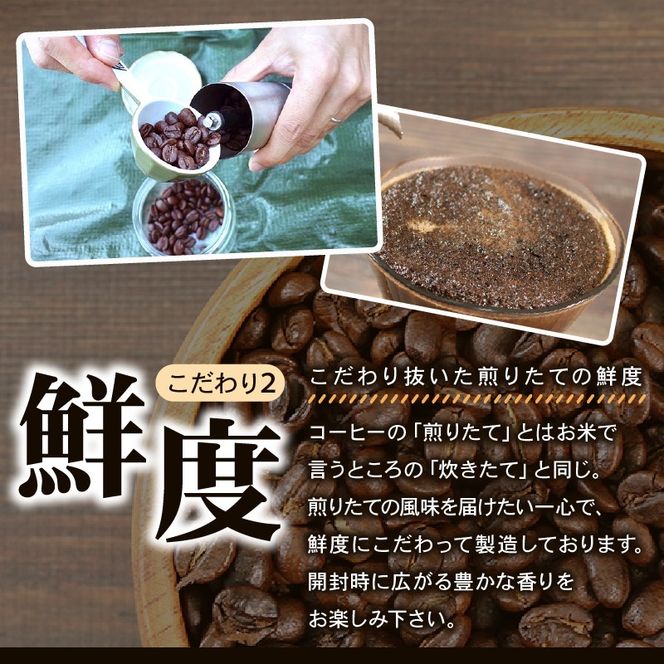 コーヒー 豆 100g [ケニア] コーヒー豆 注文焙煎 自家焙煎 ストレートコーヒー 朝食 アイスコーヒー 三陸 岩手県 大船渡市 3000円 3千円 [moku001_1]