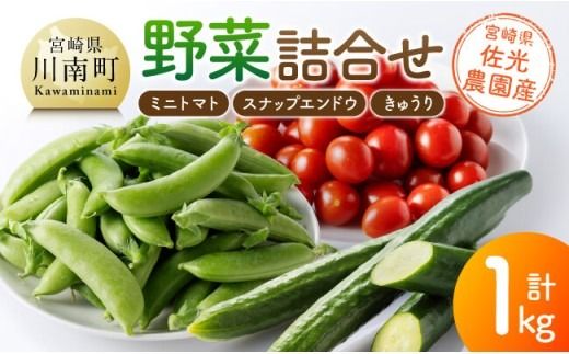 宮崎県佐光農園産 野菜詰め合わせ(ミニトマト・スナップエンドウ・きゅうり)計1kg [ ミニトマト スナップエンドウ きゅうり 野菜 詰め合わせ ][C13001]