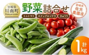宮崎県佐光農園産　野菜詰め合わせ（ミニトマト・スナップエンドウ・きゅうり）計1kg 【 ミニトマト スナップエンドウ きゅうり 野菜 詰め合わせ 】[C13001]