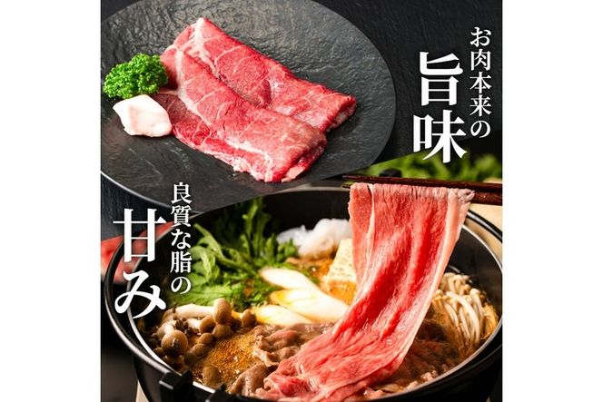 宮崎牛赤身セット(合計700g・モモステーキ100g×2袋、モモ焼肉150g、モモスライス200g、赤身サイコロ150g)国産 九州産 宮崎県産 牛肉 お肉 おにく ブランド牛 冷凍【MF-19】【エムファーム】