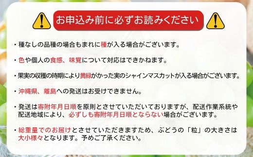 【先行受付】バラバラくん3色セット 合計約1kg (ナガノパープル・クイーンルージュ® ・シャインマスカット)《信州うちやま農園》■2025年発送■※8月下旬頃～10月下旬頃まで順次発送予定