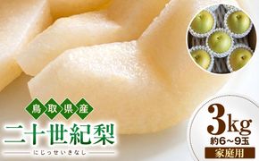 【2026年度先行予約】数量限定　鳥取県産　二十世紀梨　家庭用　3kg(約6〜9玉)【8月20日以降発送】 313726_DE008