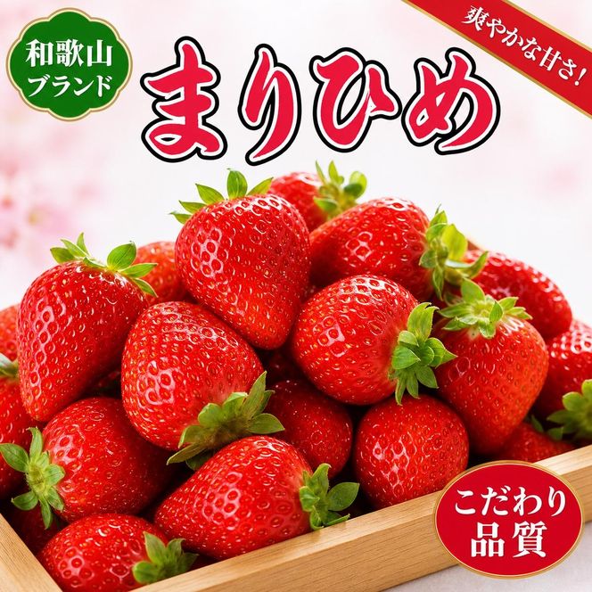 紀州和歌山ブランドいちご「まりひめ」約280g×2P